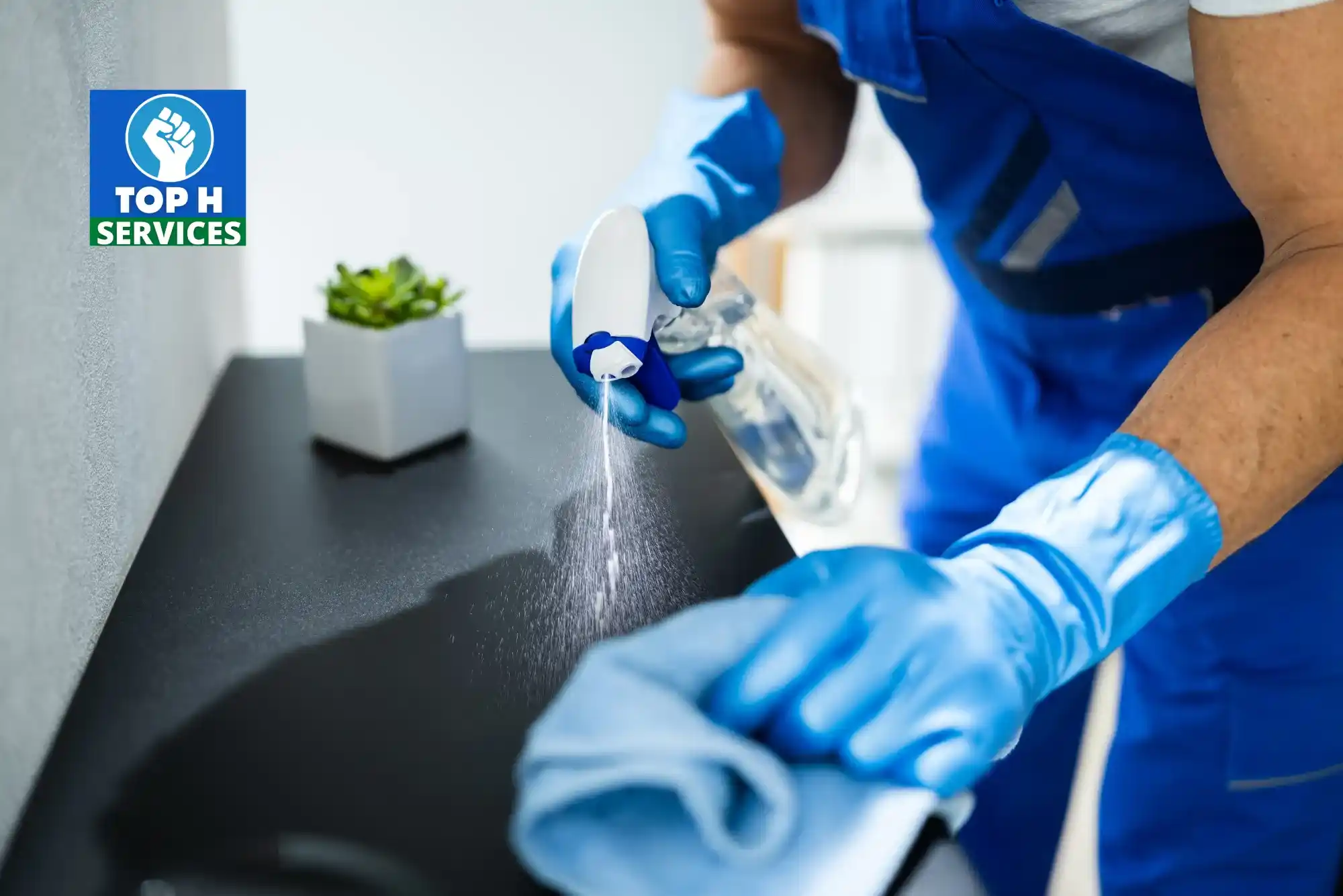 Cleaning Services Dubai Discovery Gardens