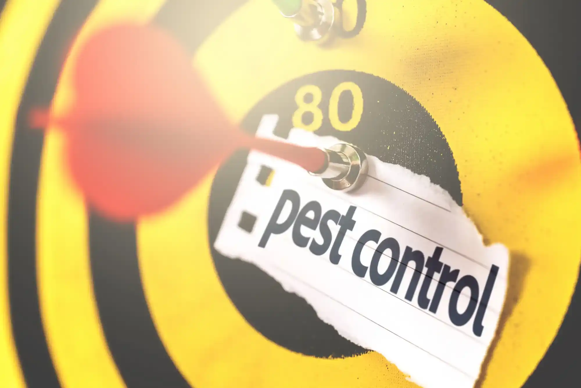 Ant Pest Control 1 - شركات تنظيف في دبي