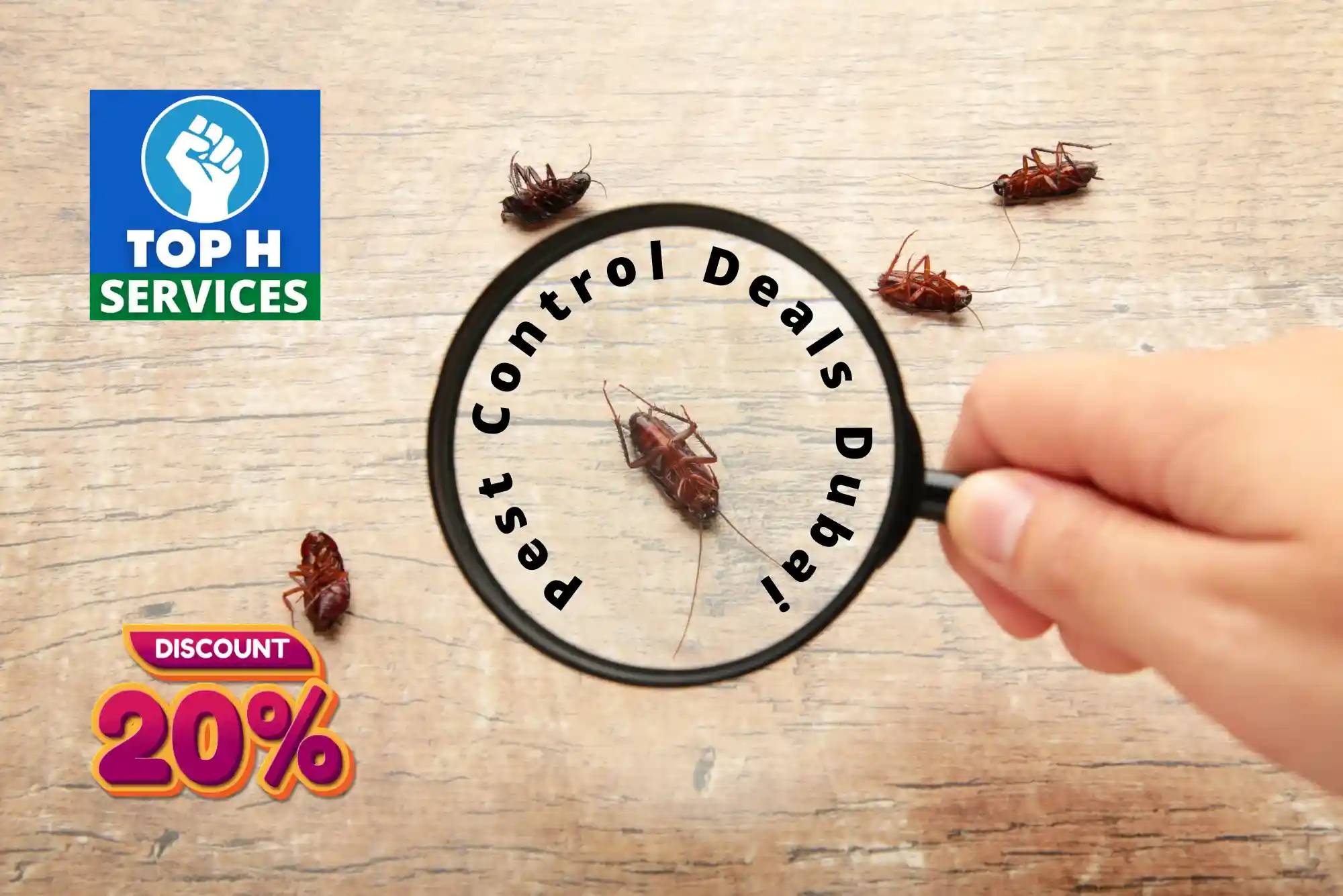 Pest Control Deals Dubai - Top h Services palm tree pest control