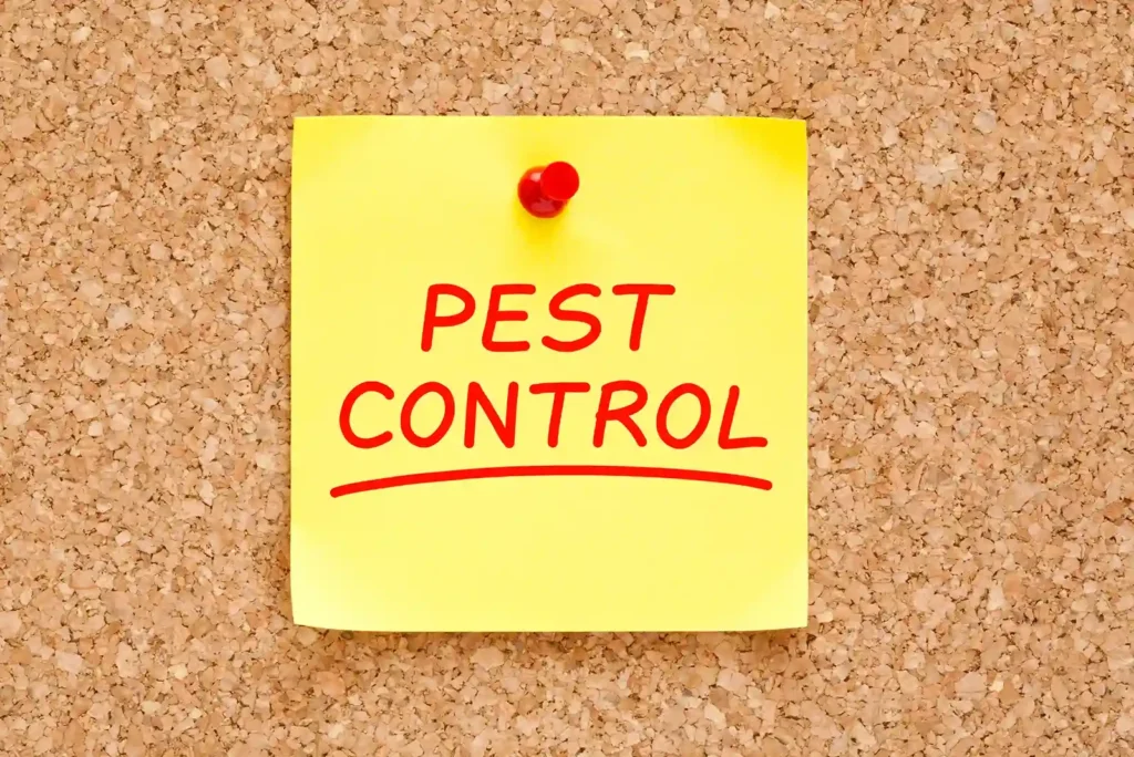 Pest Control Ras Al Khaimah