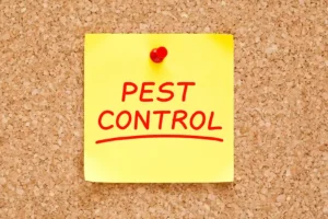 Pest control for shops Tel : 0585956111