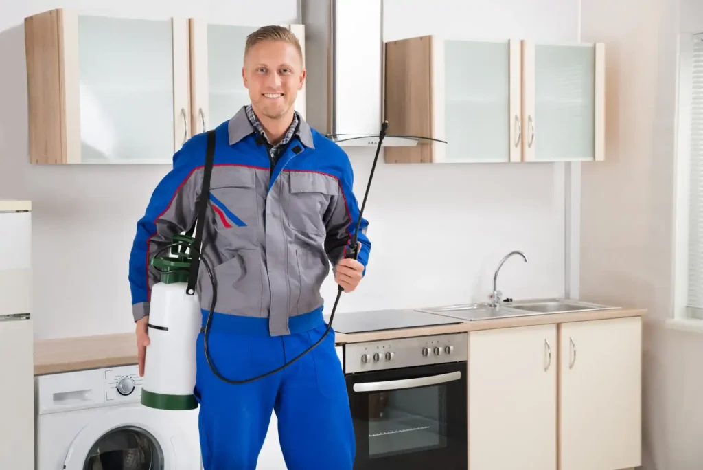 Pest Control Services in Bur Dubai