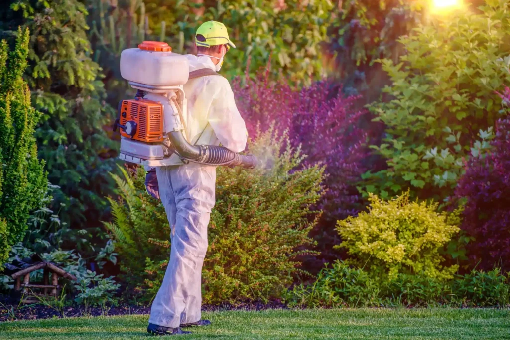 Pest Control in Al Barsha