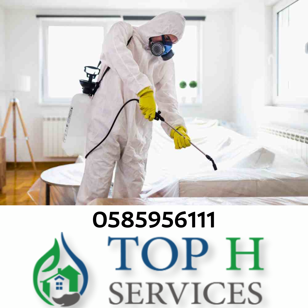 Tel : 0585956111 مكافحة الحشرات راس الخيمة - Top h Services Pest control company in Dubai