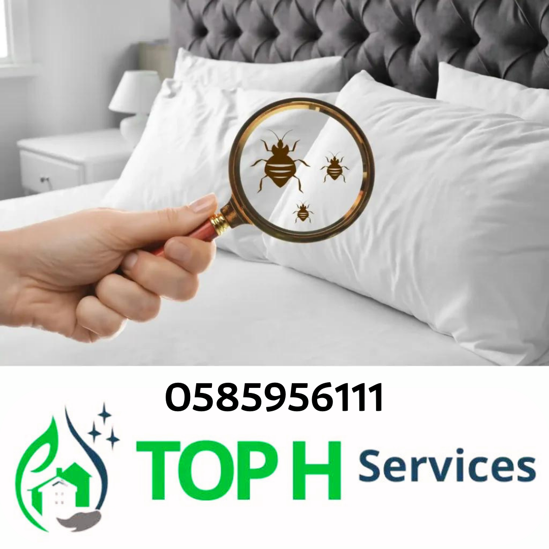 Tel : 0585956111 مكافحة الحشرات راس الخيمة - Top h Services شركة مكافحة حشرات عجمان