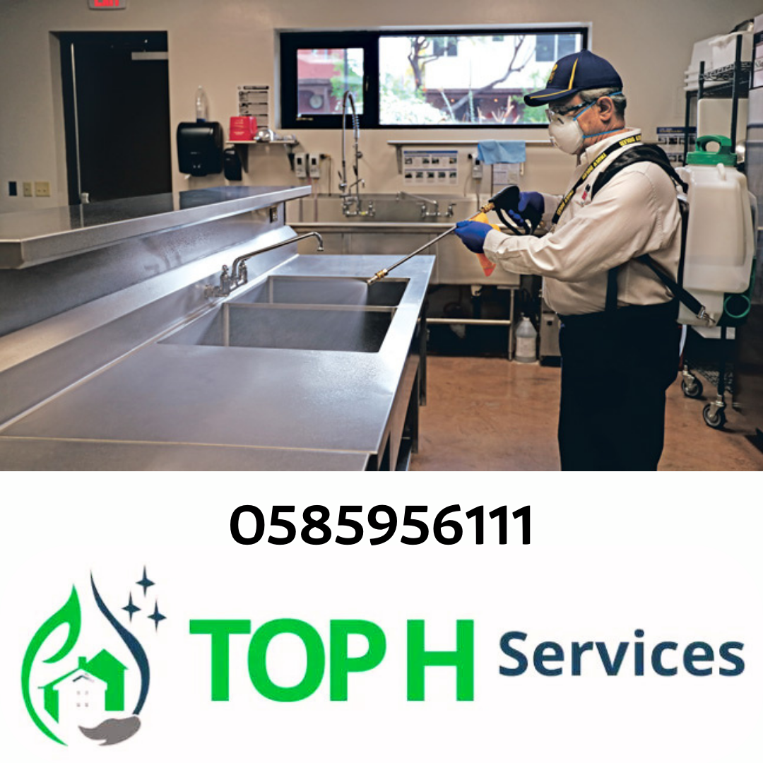 شركة مكافحة حشرات عجمان