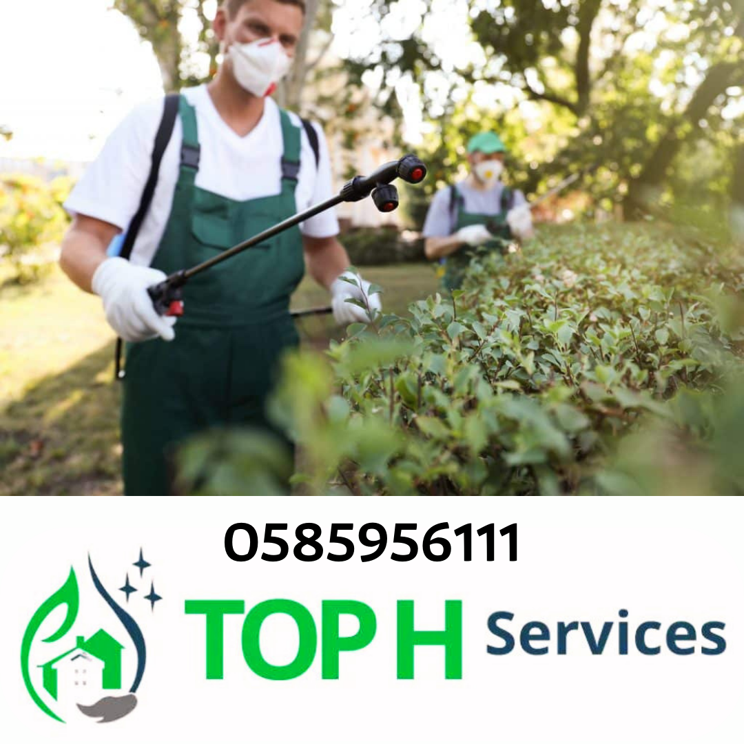 Pest control company in Dubai