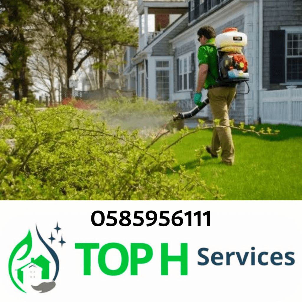 Pest control company in Abu Dhabi