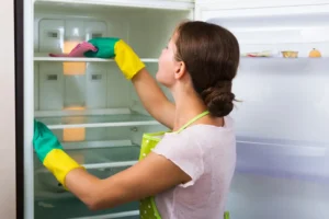 How to Clean and Disinfect Your Refrigerator Inside Out