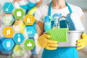 What is the Cost of Professional Cleaning Services in UAE?