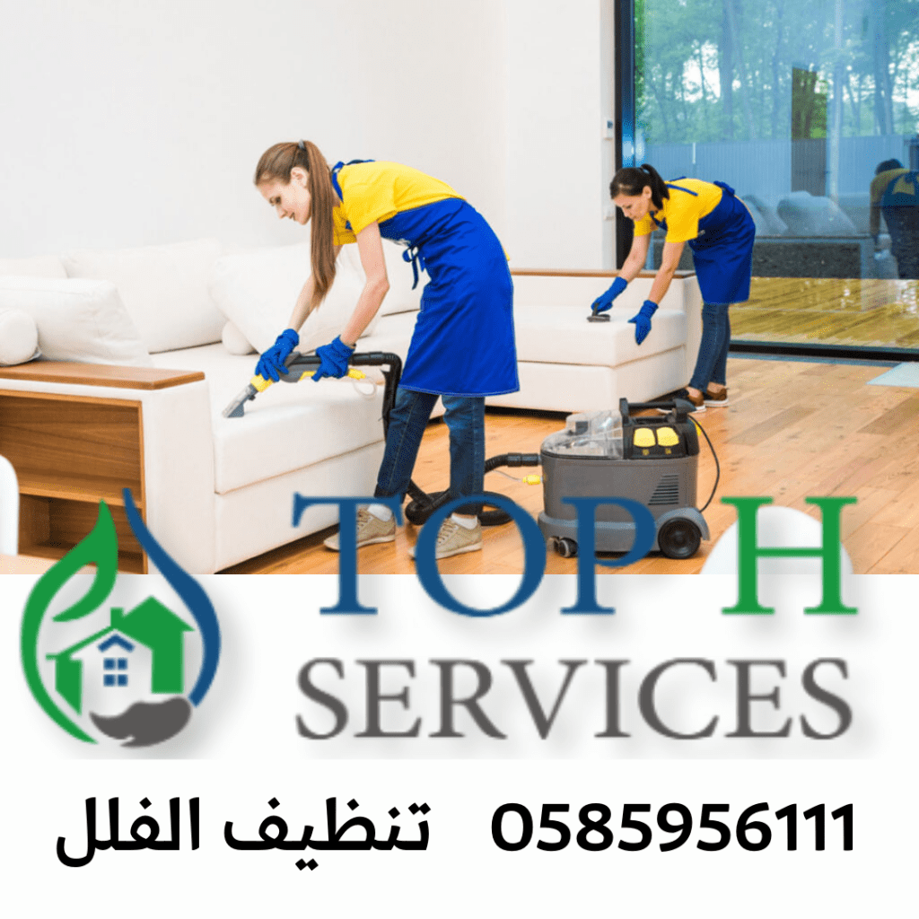 Tel : 0585956111 شركة تنظيف فلل في دبي