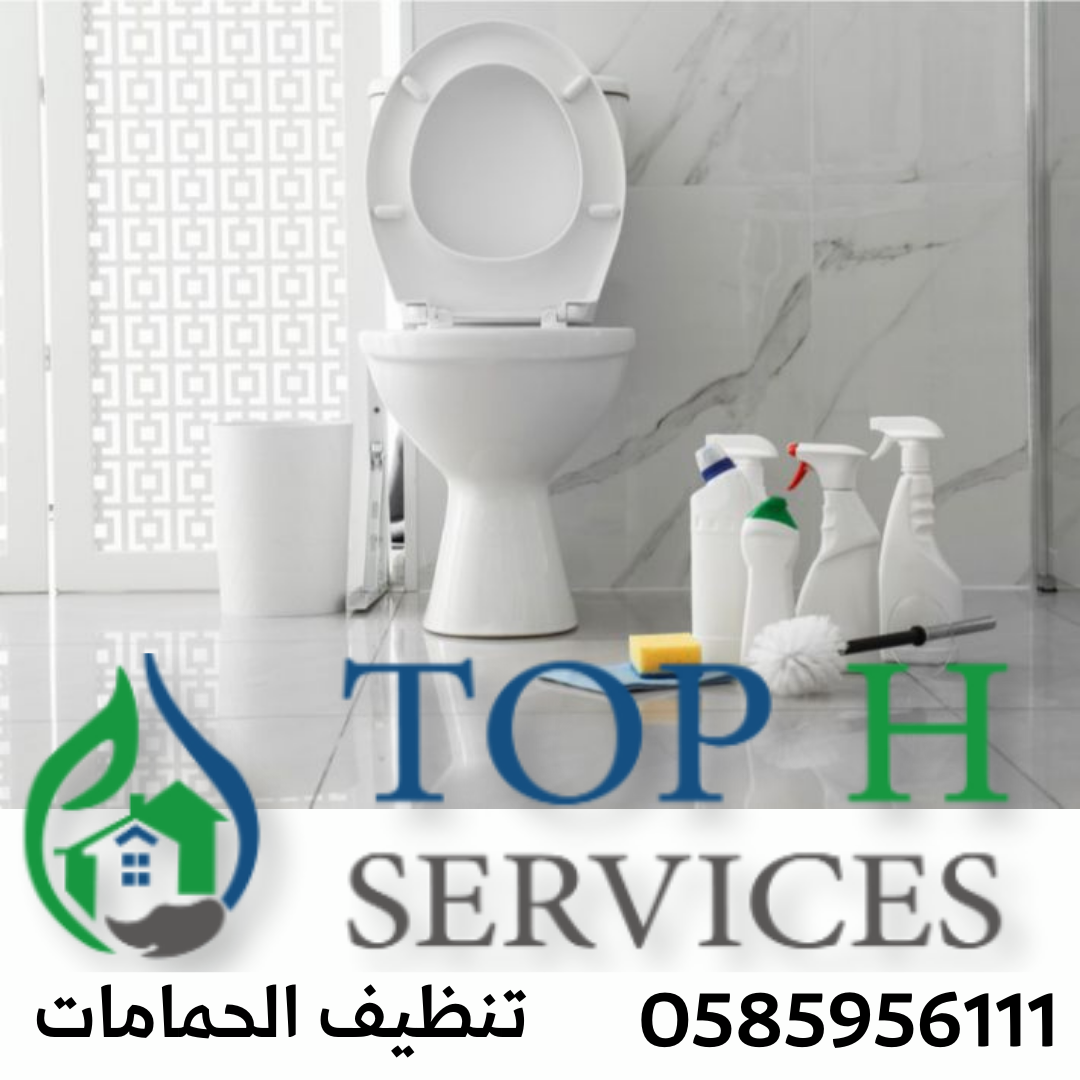 Tel : 0585956111 شركة تنظيف فلل في دبي