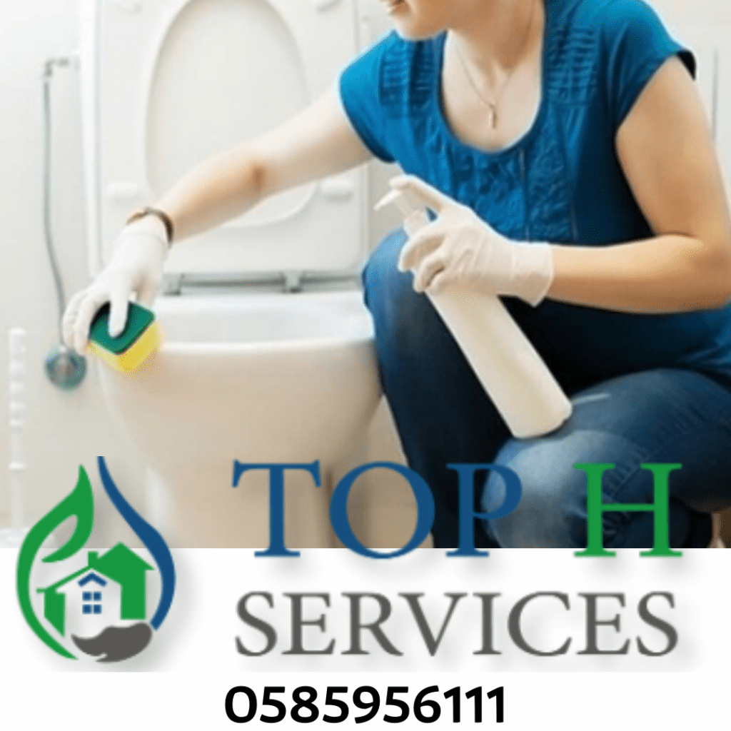 cleaning company