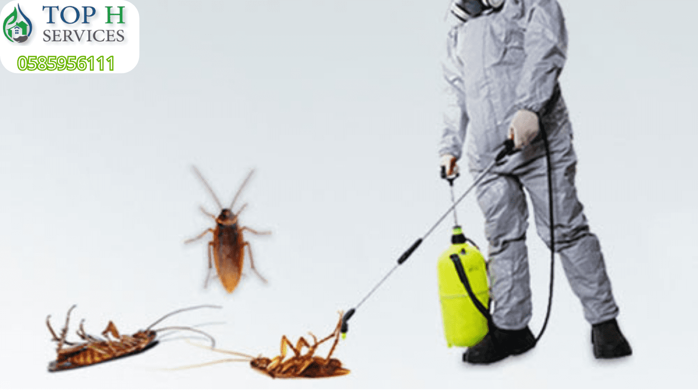 شركة مكافحة صراصير - Top h Services شركة رش صراصير