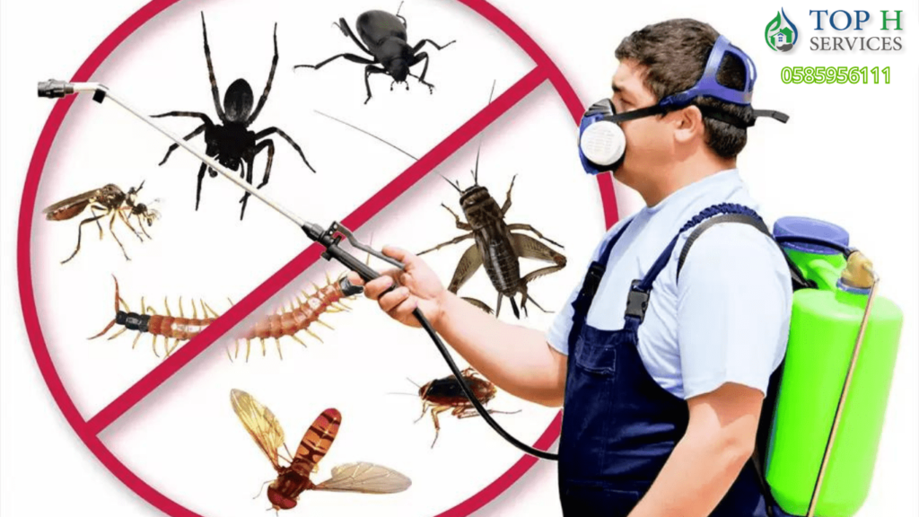 Cockroach Spraying Company