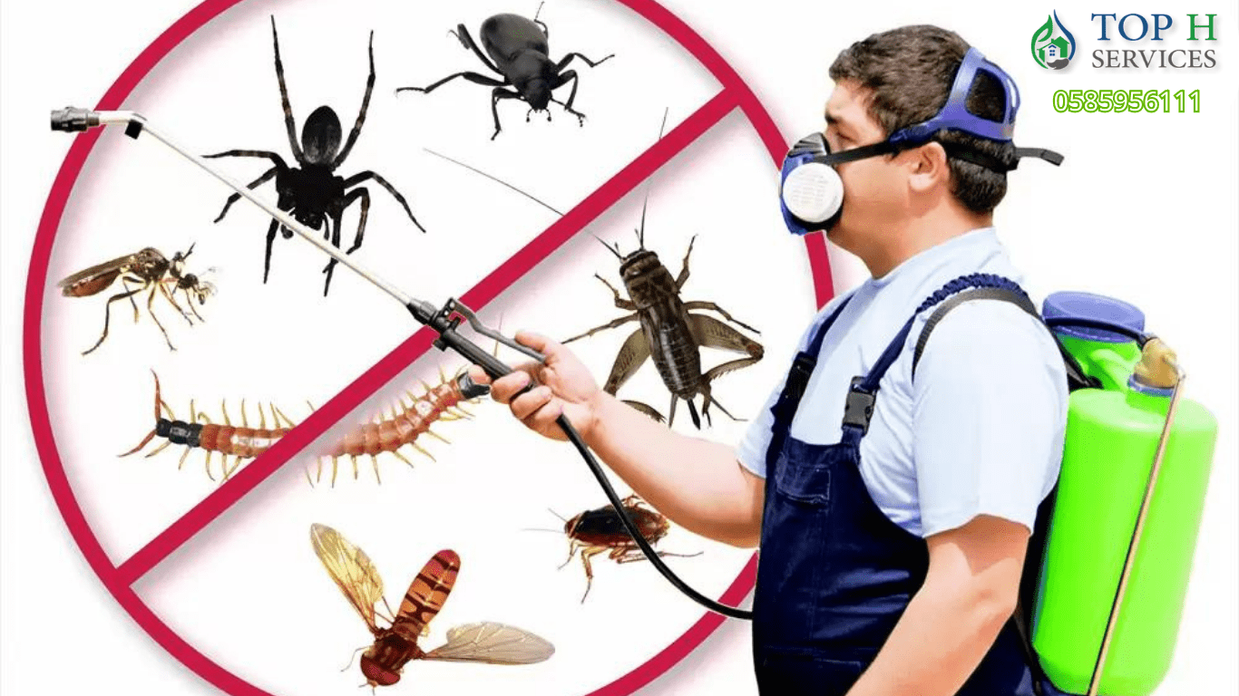 Pest Control in Sharjah