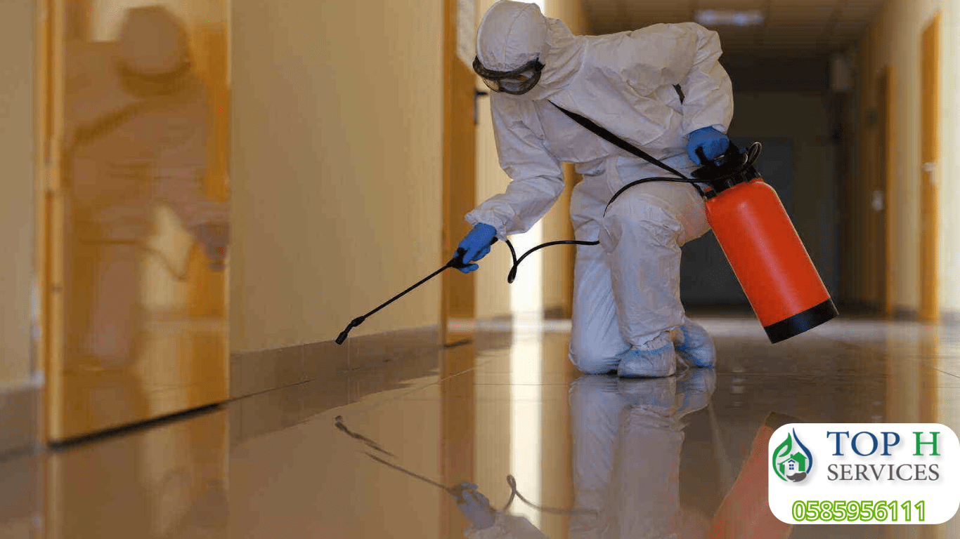 مكافحة الحشرات في الشارقة - Top h Services مكافحة الحشرات في الشارقة