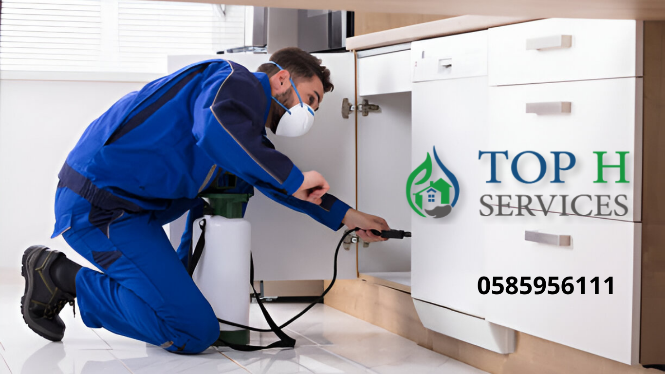 مكافحة الحشرات في الشارقة - Top h Services مكافحة الحشرات في الشارقة