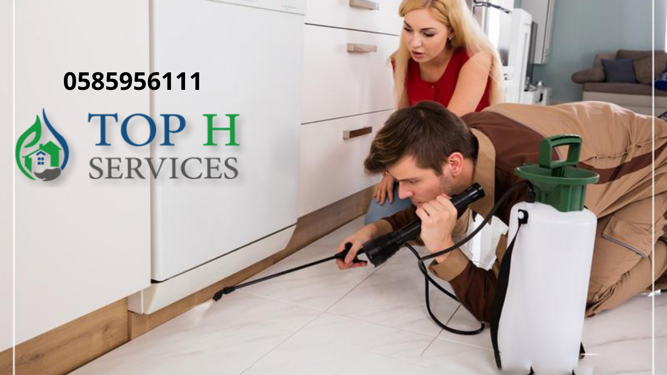 Pest Control Mussafah Abu Dhabi - Top h Services 11 1 - شركات تنظيف في دبي