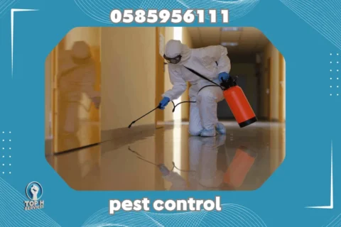 Pest Control in Dubai - Top h Services مكافحة حشرات في الشارقة