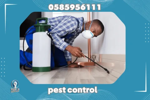 Pest Control in Dubai - Top h Services Pest Control in Sahrjah