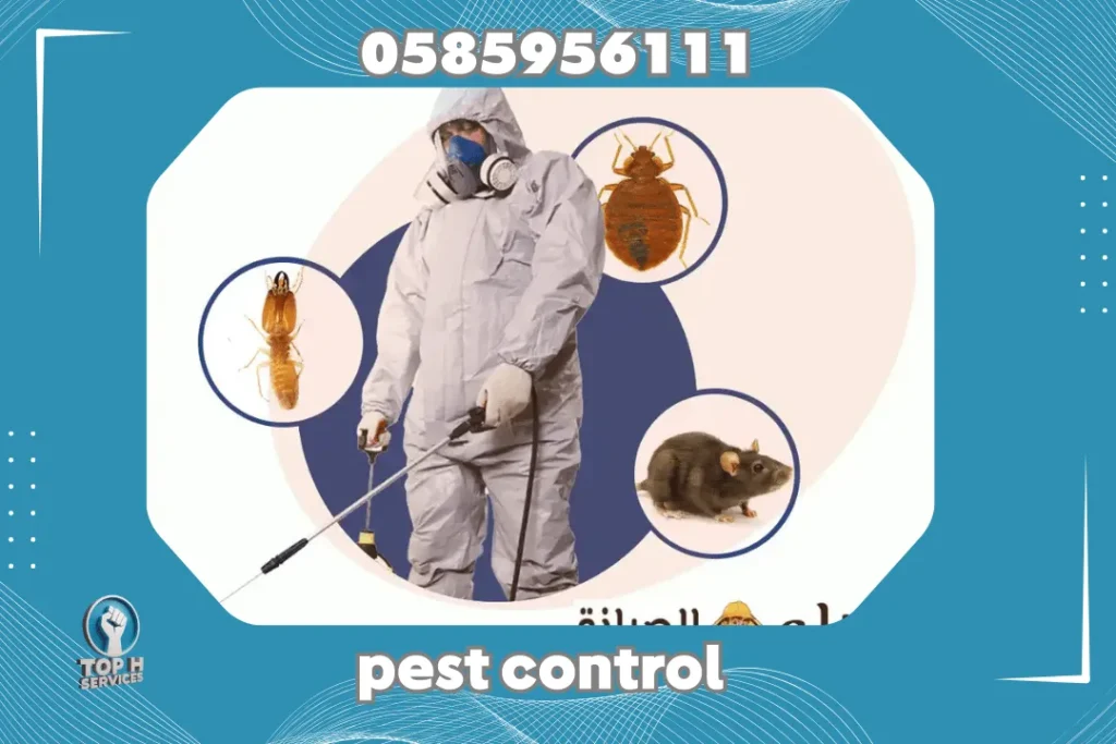 Cockroach Control in JLT Dubai
