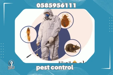 Pest Control in Sahrjah - Top h Services Pest Control in Sahrjah