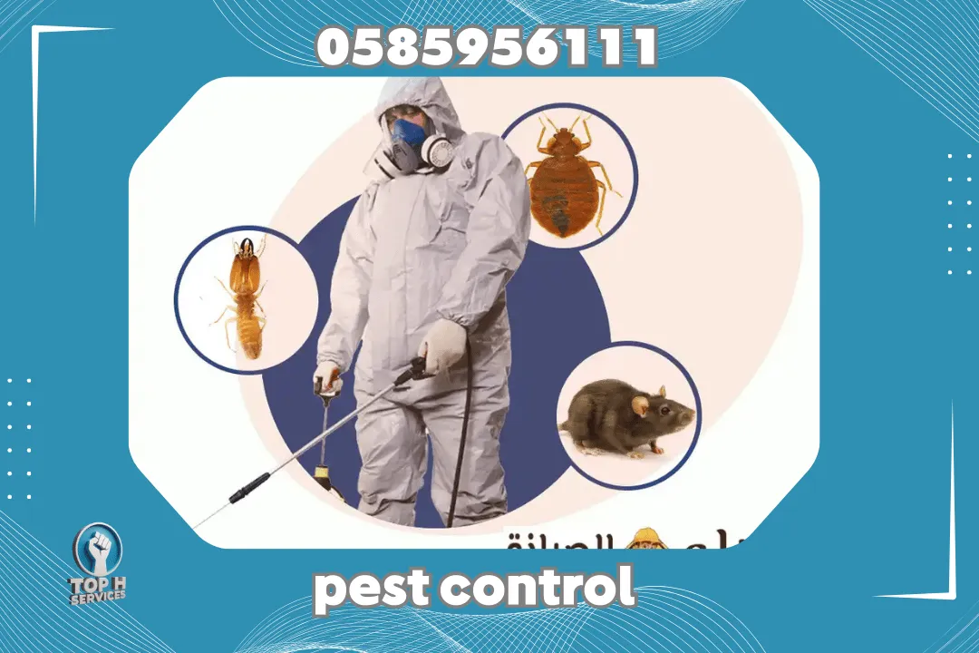 Cockroach Control in Dubai Marina