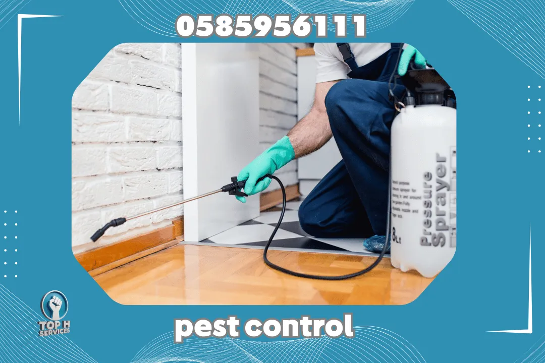 Pest Control in Ajman
