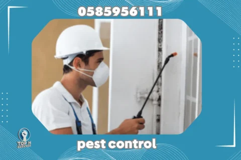 Pest Control in Dubai - Top h Services Pest Control in Ajman