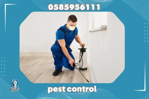 Pest Control in Dubai - Top h Services Pest Control in Ajman