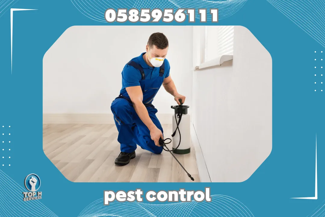 Pest Control in Ajman