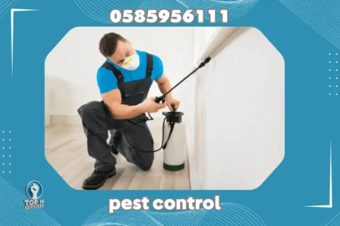 مكافحة حشرات في عجمان - Top h Services Pest Control in Ajman