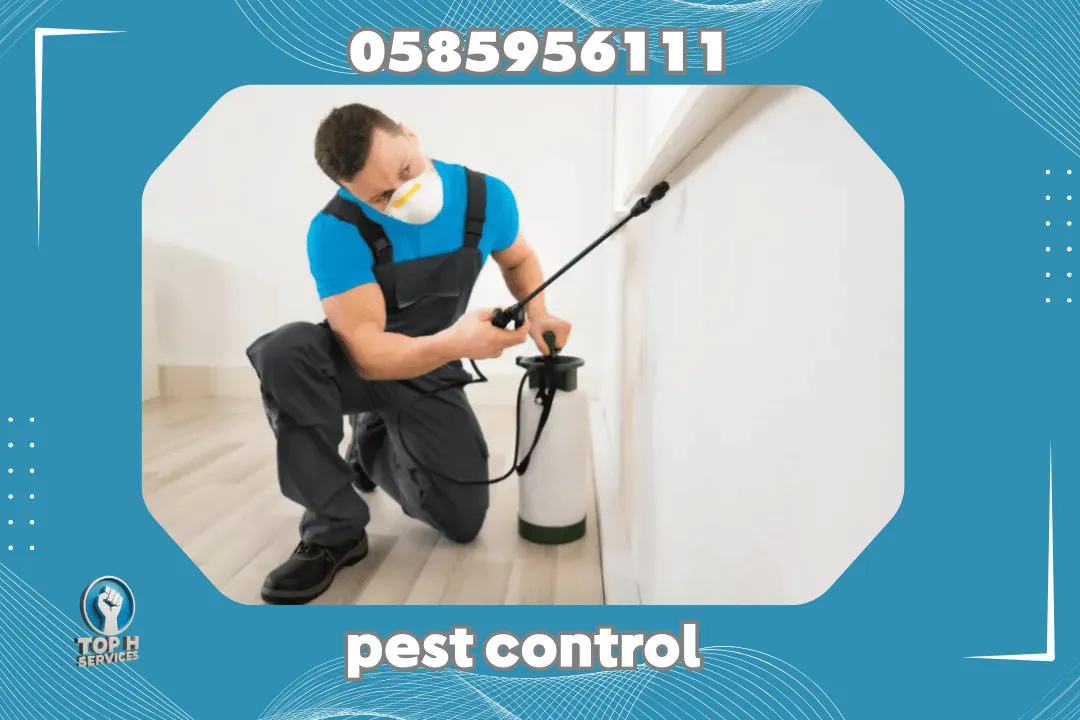 Pest Control in Ajman
