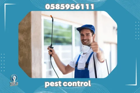 Pest Control in Abu Dhabi