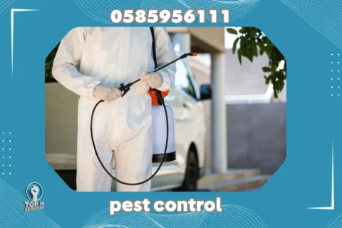 Pest Control in Abu Dhabi