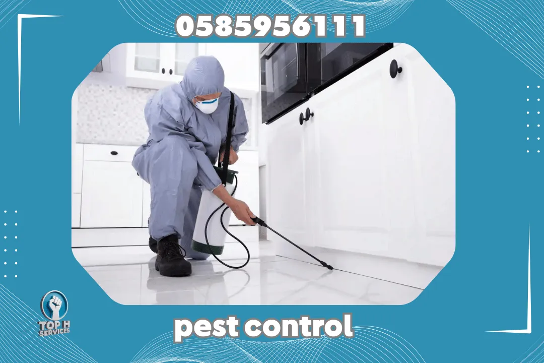 Cleaning Services Sharjah