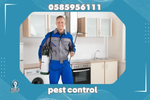 Pest Control in Abu Dhabi