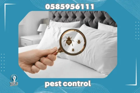 Pest Control in Sahrjah - Top h Services Pest Control