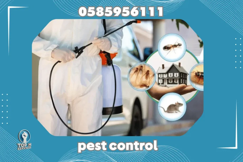 Cockroach Control in Al Satwa Dubai | Top H