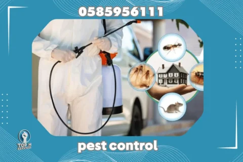 Pest Control in Sahrjah - Top h Services Pest Control