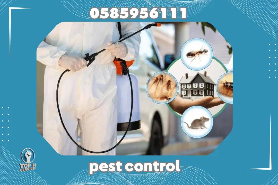 Cockroach Control in Al Barsha Dubai