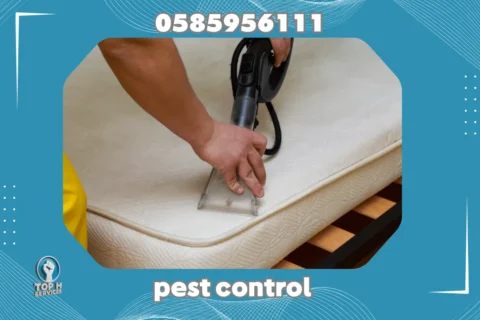 Cleaning Services Dubai - Top h Services شركة تنظيف في دبي