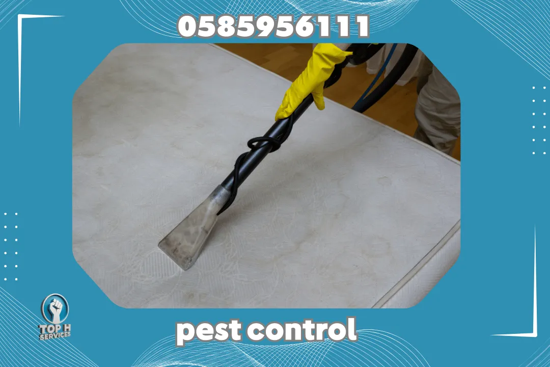 Mattress Cleaning