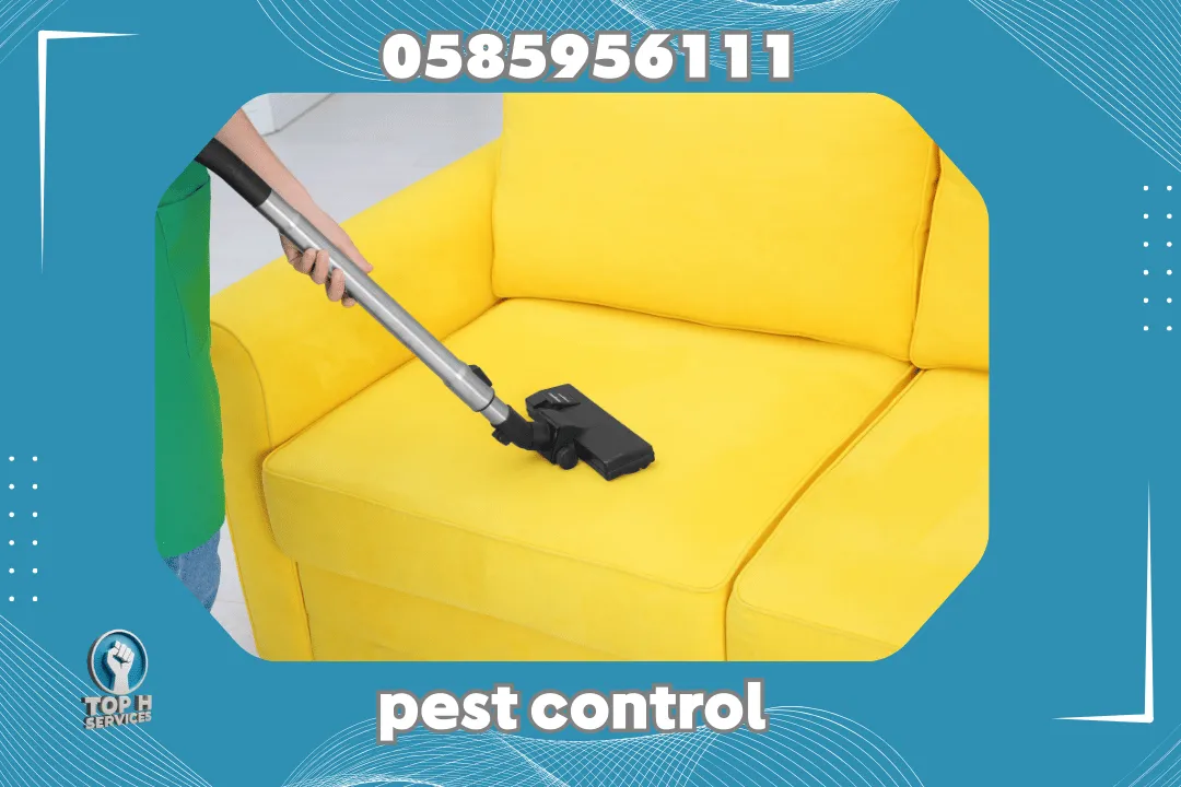 Sofa Cleaning