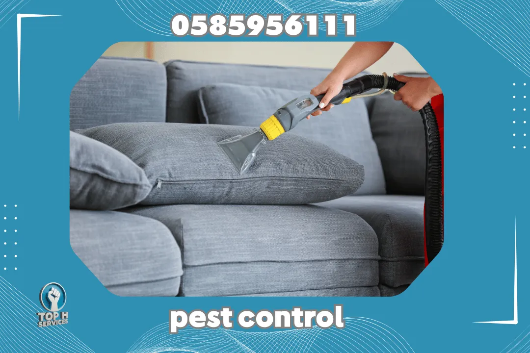 Sofa Cleaning