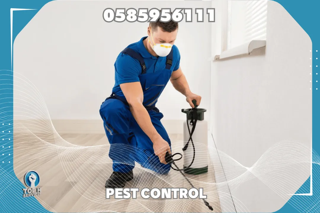 Cockroach Control in Al Nahda Dubai