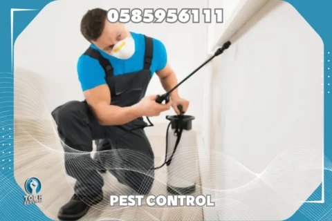 مكافحة صراصير - Top h Services Cockroach Control in Ajman