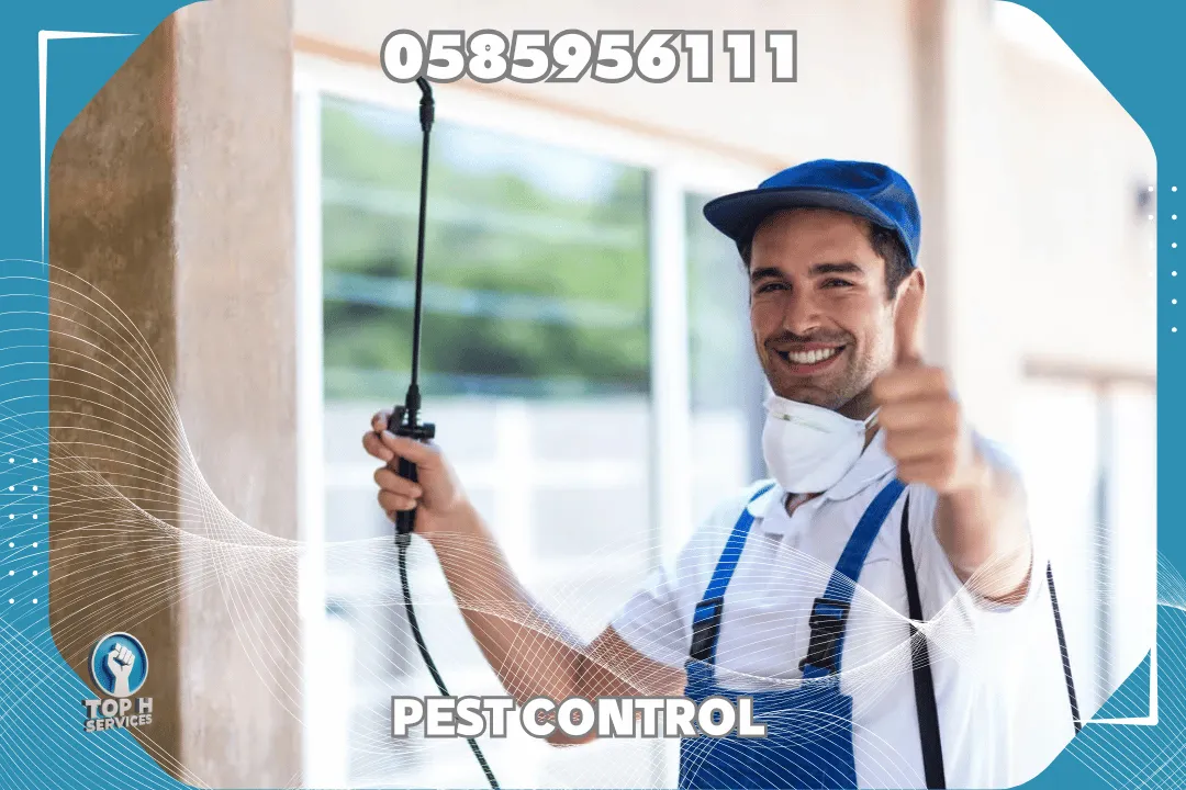 Cockroach Control in Sharjah