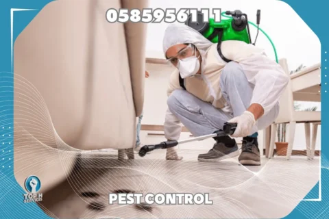 مكافحة صراصير في أبوظبي - Top h Services Cockroach Control in Ajman